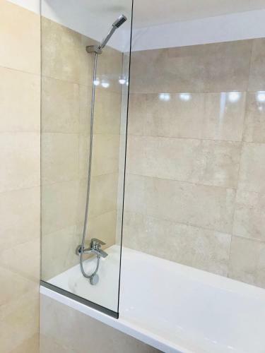 Apartamento Iulius Mall City View