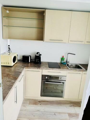 Apartamento Iulius Mall City View