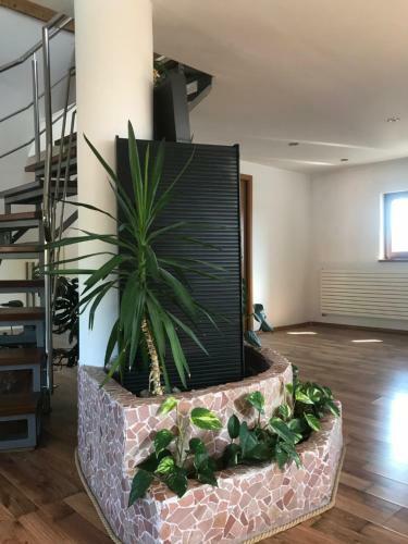 Apartamento Cluj City View