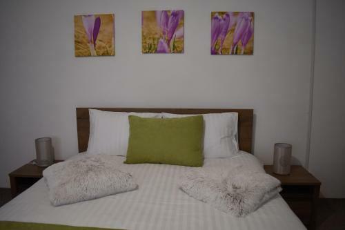 Apartament Zimbru