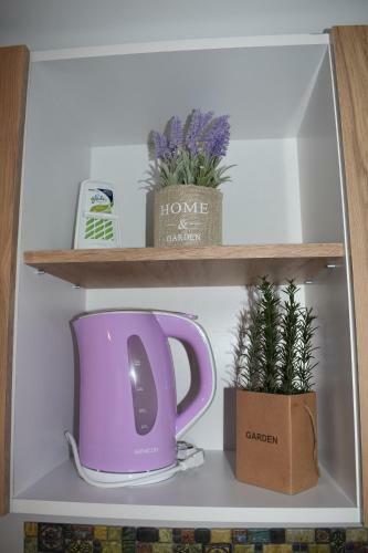 Apartament Zimbru