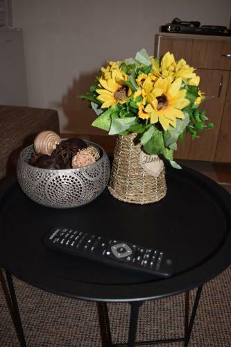 Apartament Zimbru