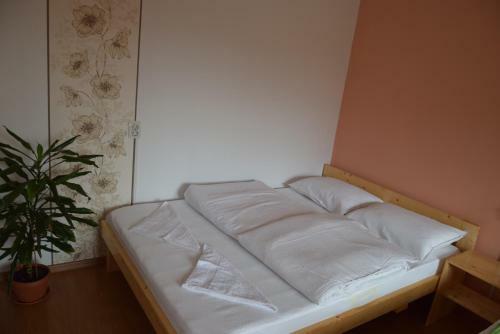 Hostal Felszegi Vend�gh�z