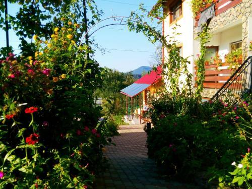 Hostal Pensiunea Dana
