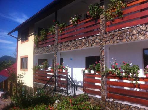 Hostal Pensiunea Dana