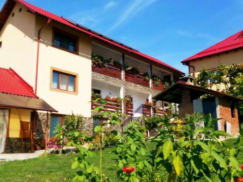 Hostal Pensiunea Dana