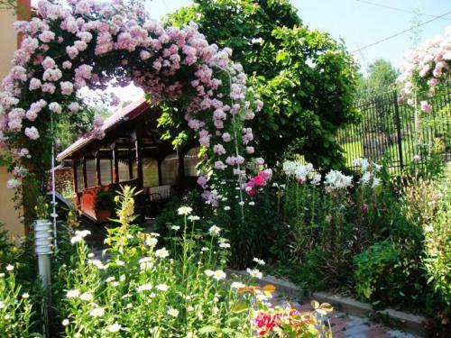 Hostal Pensiunea Dana