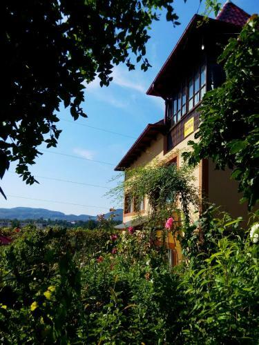 Hostal Pensiunea Dana