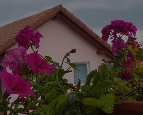 Hostal Casa Lili
