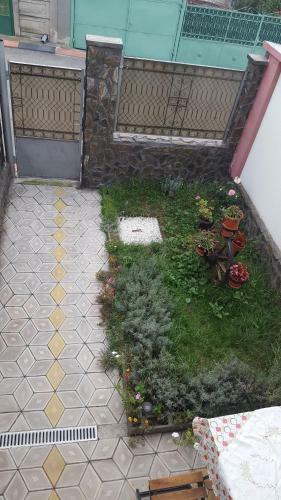 Casa Leo