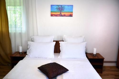 Hostal Pensiunea Anita