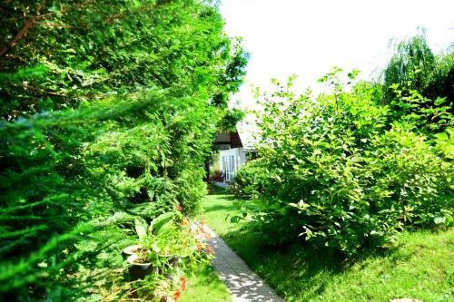 Hostal Pensiunea Anita