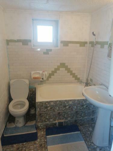 Hostal Vila La Izvorul Putinei