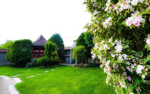 Hostal Casa Mihai