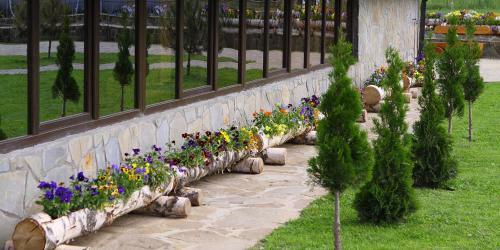 Hostal Pensiunea Varvara De Bucovina