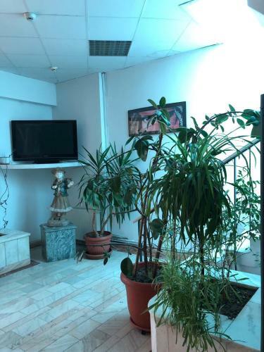 Motel Prietenia