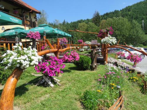 Hostal Erdelyi Gonduzo Pension Restaurant