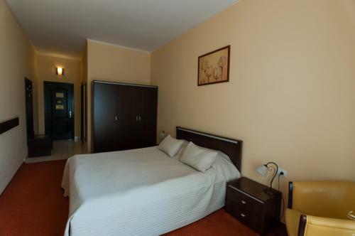 Hotel Magnus Galati