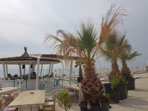 911 Mamaia Apartments