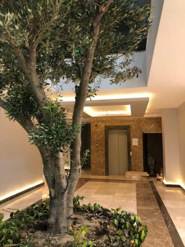 Apartament Solid Central Mamaia