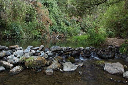 Lodge Caba�as Los Maquis 7 Tazas