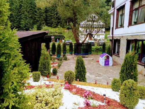 Hostal Casa Cu Flori