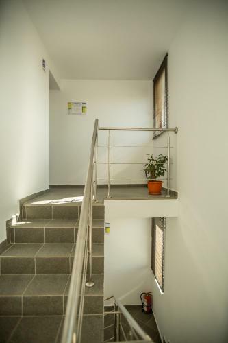 Hostal Andreea Residence Mamaia Nord