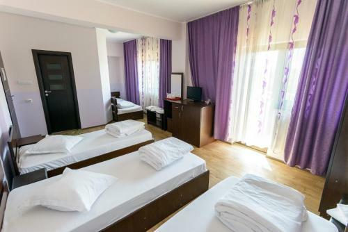 Hostal Pensiunea Domneasca