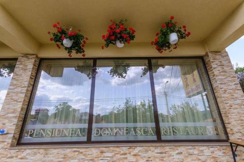 Hostal Pensiunea Domneasca