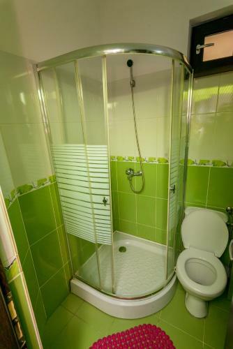 Hostal Pensiunea Domneasca