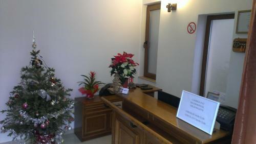 Hostal Pensiunea Clasic