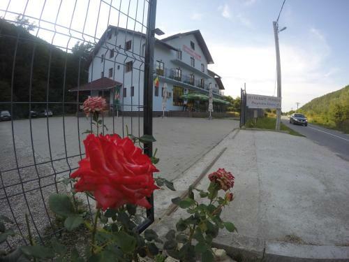 Hostal Pensiune Marginimea Sibiului