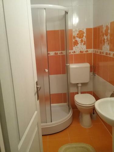 Hostal Pensiunea Rose