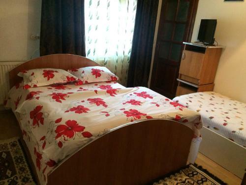 Hostal Casa Ionela Petreus