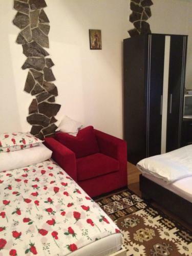 Hostal Casa Ionela Petreus