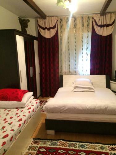 Hostal Casa Ionela Petreus