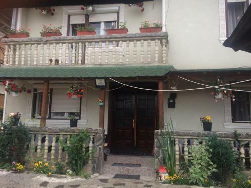 Hostal Casa Ionela Petreus
