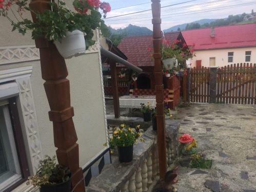 Hostal Casa Ionela Petreus