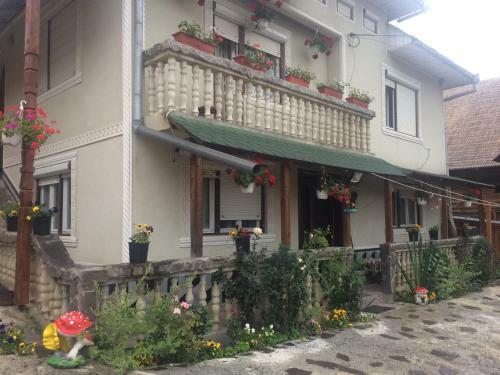 Hostal Casa Ionela Petreus