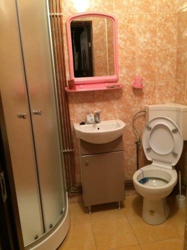Hostal Casa Ionela Petreus