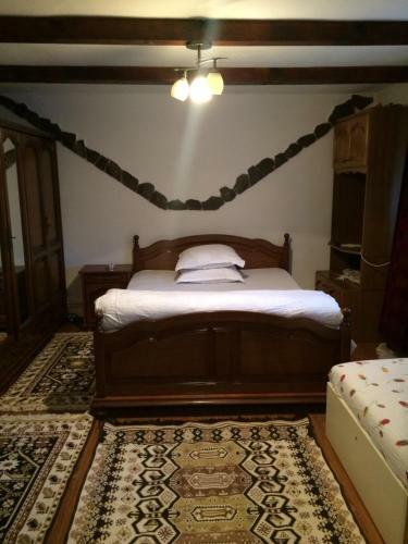 Hostal Casa Ionela Petreus