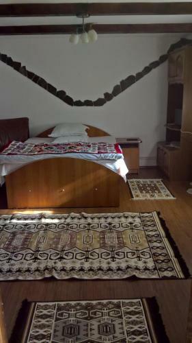 Hostal Casa Ionela Petreus