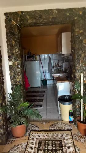 Hostal Casa Ionela Petreus