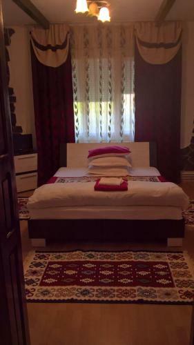 Hostal Casa Ionela Petreus
