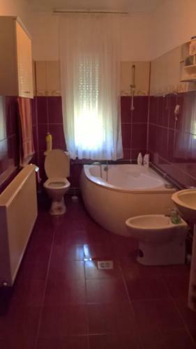 Hostal Casa Ionela Petreus