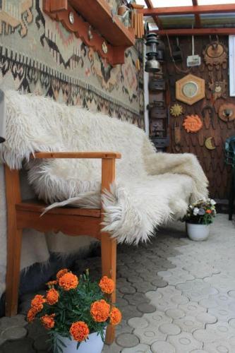 Hostal Pensiunea Alecsandra
