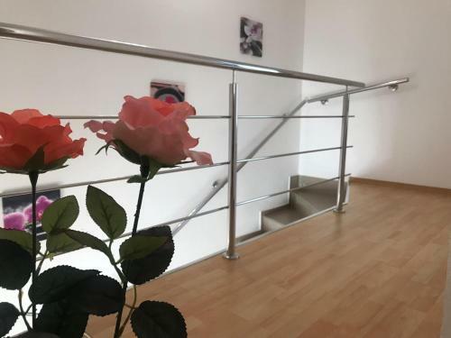 Hostal Pensiunea Wolf 2