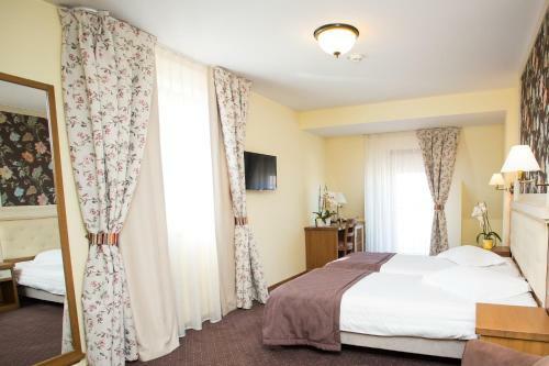 Hotel Leul De Aur