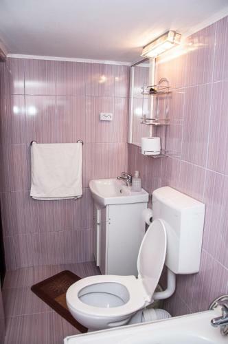 Hostal Pensiunea Sarmis
