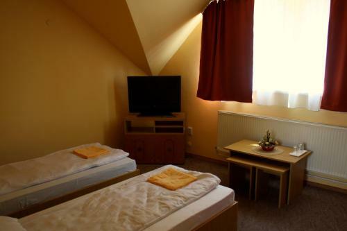 Hostal Pensiunea Bobo Panzio